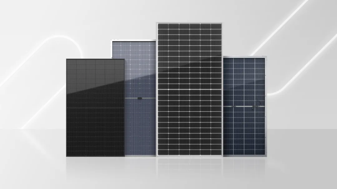 斩获800MW！赛拉弗中标中核集团2023-2024年度光伏组件集采项目