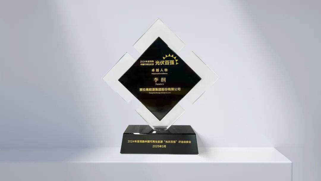 2024年度领跑中国可再生能源优秀光伏电池/组件企业